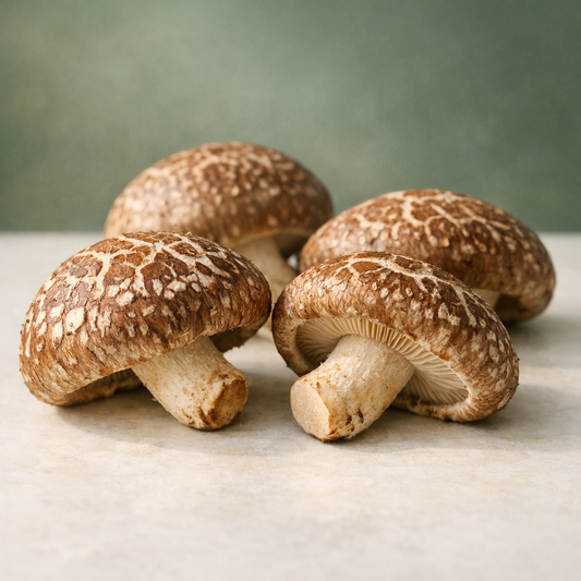 Fresh shiitake mushrooms with marbled caps